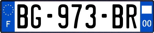 BG-973-BR
