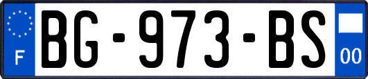 BG-973-BS