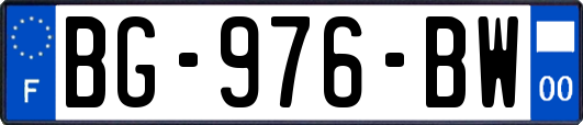 BG-976-BW