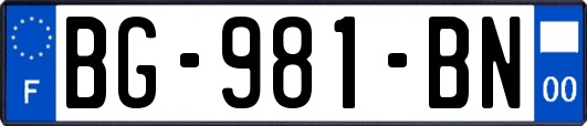 BG-981-BN
