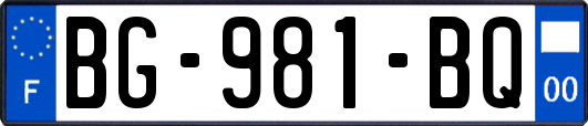 BG-981-BQ