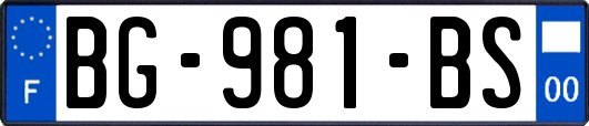 BG-981-BS