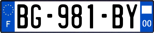 BG-981-BY