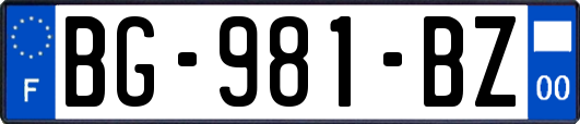 BG-981-BZ