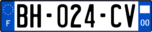 BH-024-CV