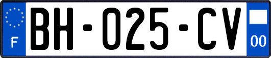 BH-025-CV
