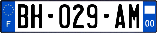 BH-029-AM