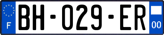 BH-029-ER