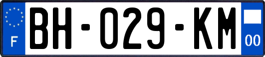 BH-029-KM