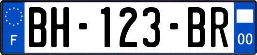 BH-123-BR