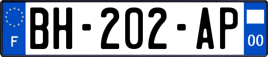 BH-202-AP