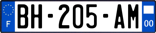 BH-205-AM