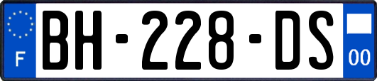 BH-228-DS