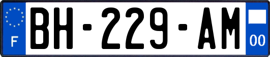 BH-229-AM