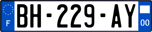 BH-229-AY