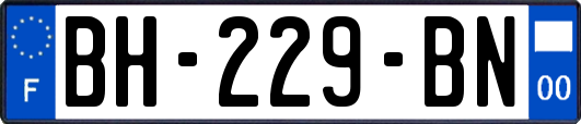 BH-229-BN