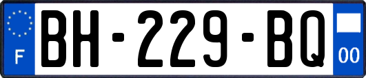 BH-229-BQ