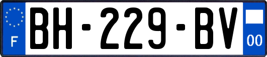 BH-229-BV