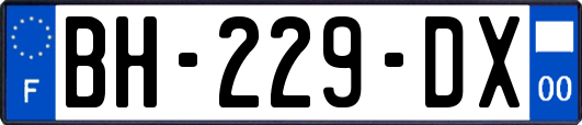BH-229-DX