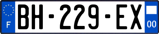 BH-229-EX