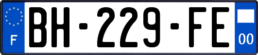 BH-229-FE