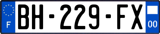 BH-229-FX