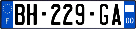BH-229-GA