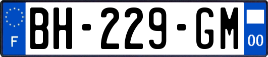 BH-229-GM