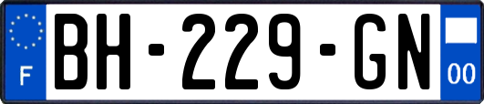 BH-229-GN