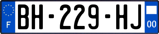 BH-229-HJ