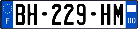 BH-229-HM