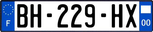 BH-229-HX