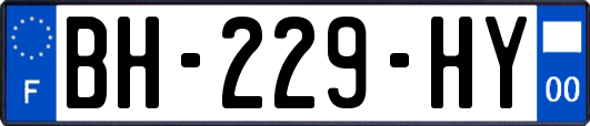 BH-229-HY