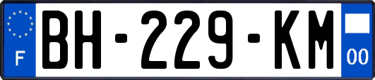 BH-229-KM