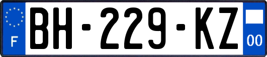 BH-229-KZ