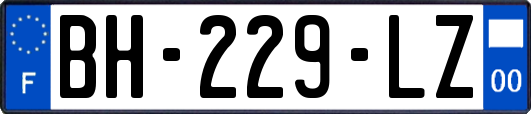 BH-229-LZ