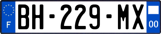 BH-229-MX