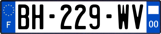BH-229-WV