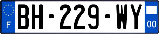 BH-229-WY