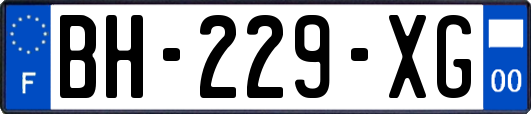 BH-229-XG