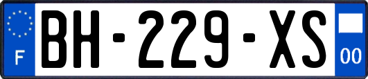 BH-229-XS