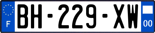 BH-229-XW