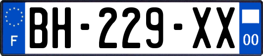 BH-229-XX