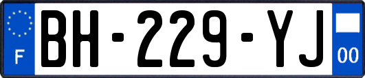 BH-229-YJ