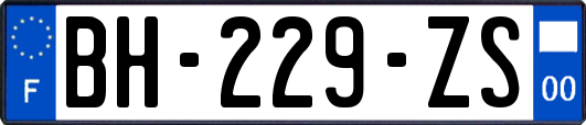 BH-229-ZS