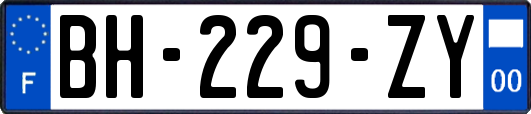 BH-229-ZY