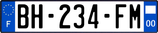 BH-234-FM