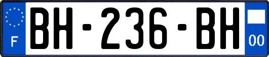 BH-236-BH