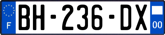 BH-236-DX