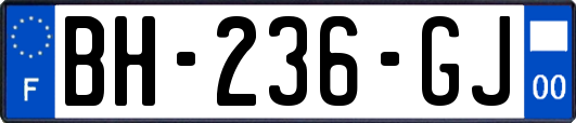 BH-236-GJ